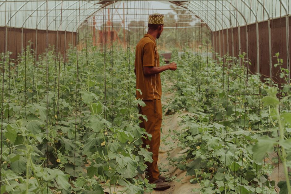 Agricultural consultant conducting a field visit on a Nigerian farm