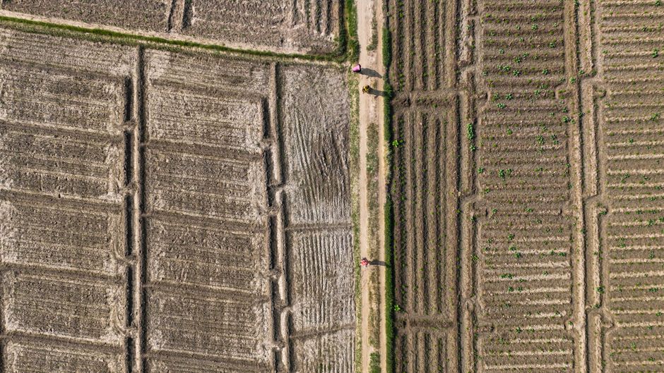 Agricultural researchers reviewing field data and crop samples in a Nigerian farming region
