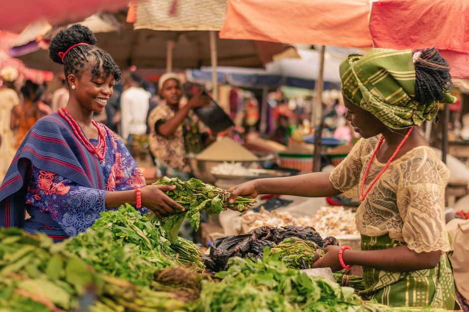 Agricultural market data dashboard showing crop price trends across Nigerian regions